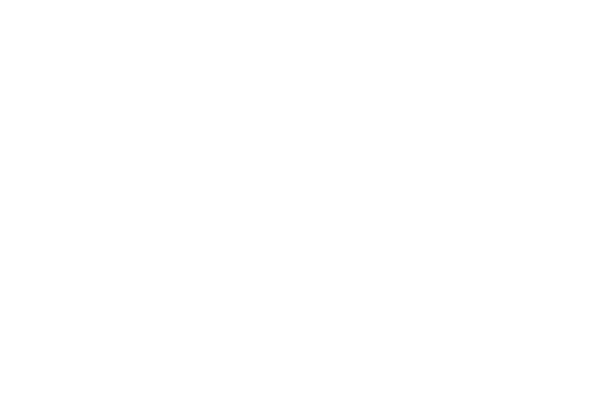 無料の長方形状レースのフリー画像